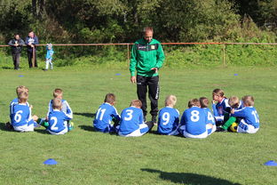 华体会官网介绍-中国足球年度战术视频分析内容频次统计，中国足球战术风格