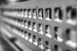 华体会app客服-青少年体质监测结果区域对比研究，青少年健康体质检测中心