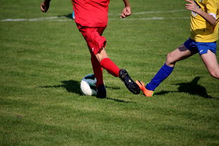 华体会体育在线-仰泳大战美队领先毫厘之间，仰泳比赛视频欣赏